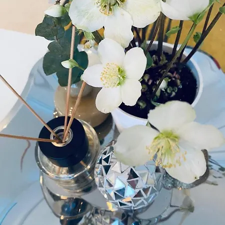 Luxury In * Rovaniemi